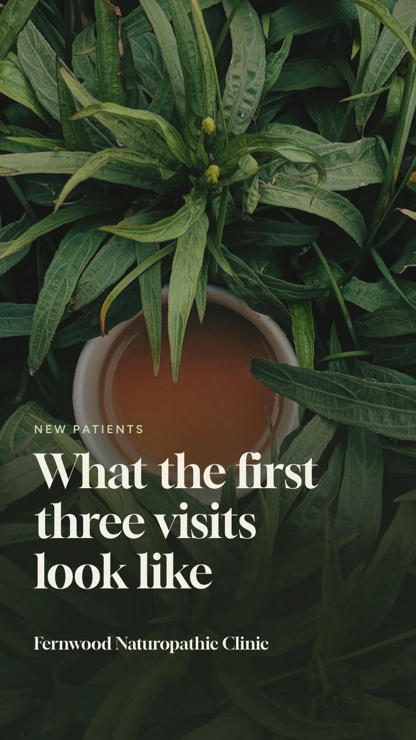 Exemple de reel, scène 1 sur 4, pour Fernwood Naturopathic Clinic : What the first three visits look like
