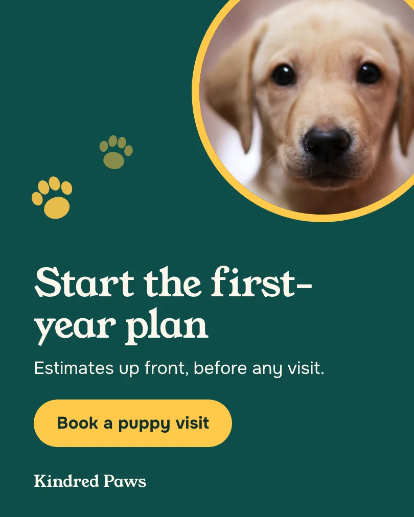 Kindred Paws Veterinary Hospital 的示例轮播图(第 4 张,共 4 张):Start the first-year plan