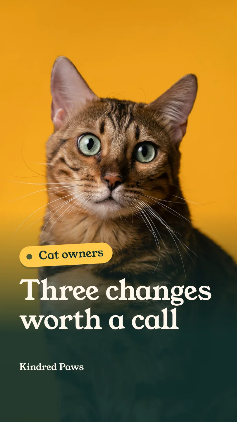 Kindred Paws Veterinary Hospital 的示例Reels 短视频(第 1 幕,共 3 幕):Three changes worth a call