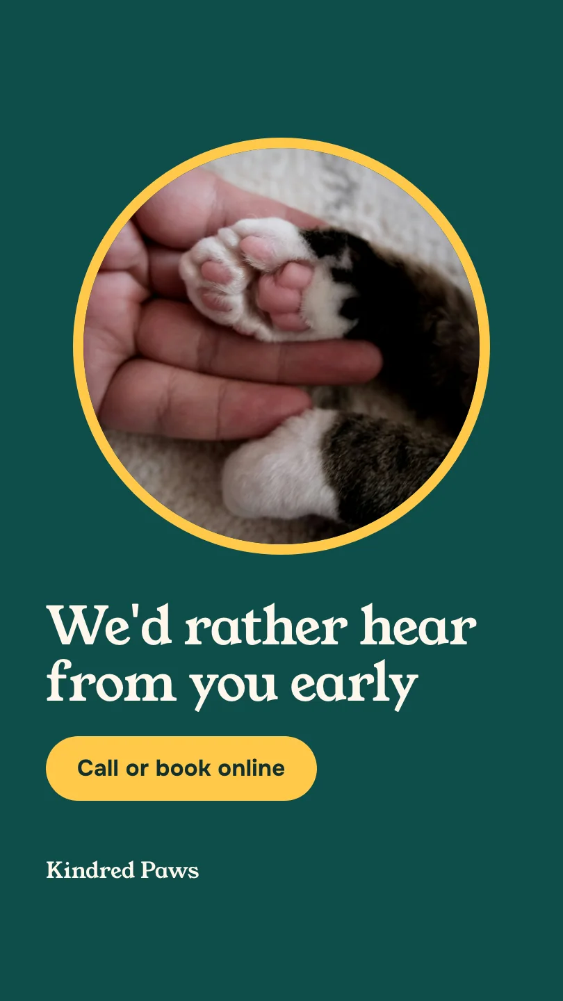 Exemple de reel, scène 3 sur 3, pour Kindred Paws Veterinary Hospital : We'd rather hear from you early