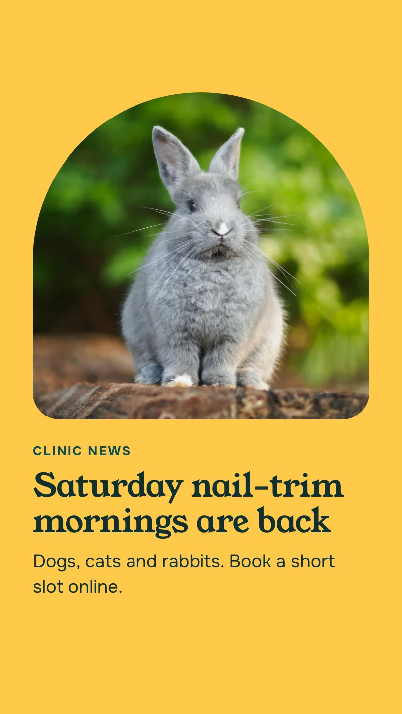 Exemple de story, image 1 sur 2, pour Kindred Paws Veterinary Hospital : Saturday nail-trim mornings are back