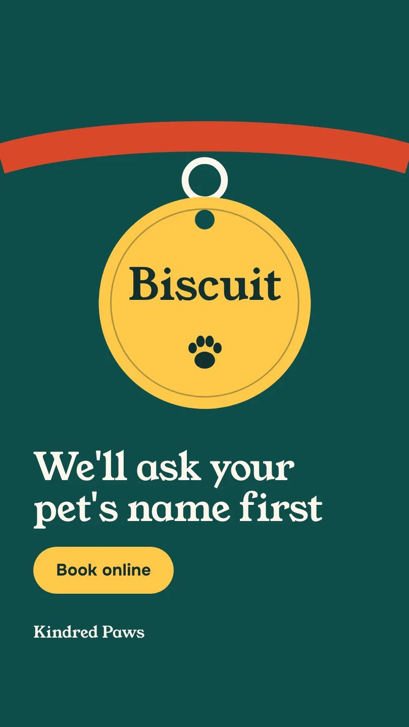 Kindred Paws Veterinary Hospital 的示例快拍(第 2 帧,共 2 帧):We'll ask your pet's name first