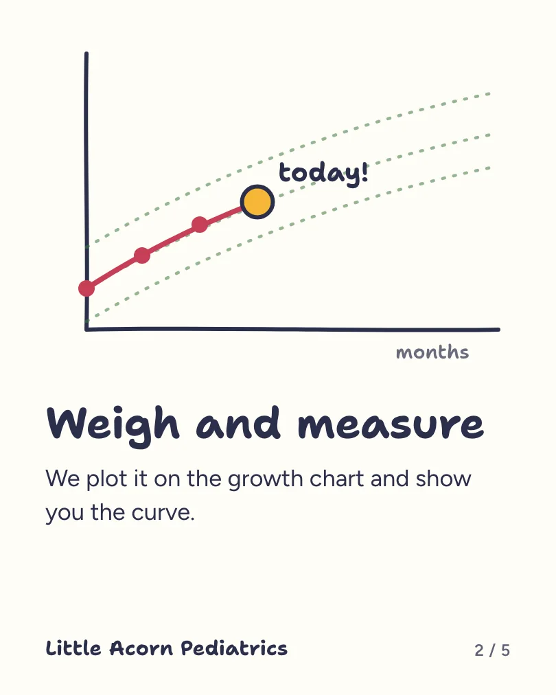 Little Acorn Pediatrics 的示例轮播图(第 2 张,共 5 张):Weigh and measure